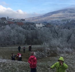 Vycházkování