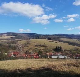 Týden v družině